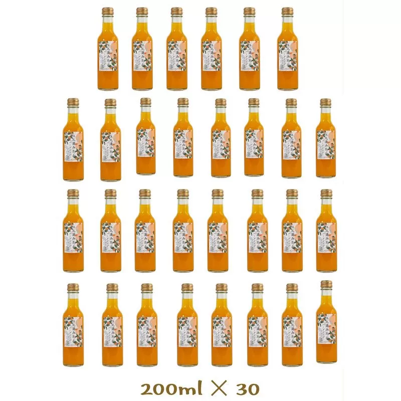小田原産江之浦みかんスパークリング果汁入り飲料果汁５０％２００ml３０本
