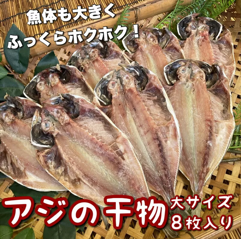 鯵の干物 大サイズ 8枚セット