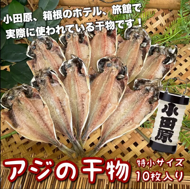 鯵の干物 特小サイズ 10枚セット