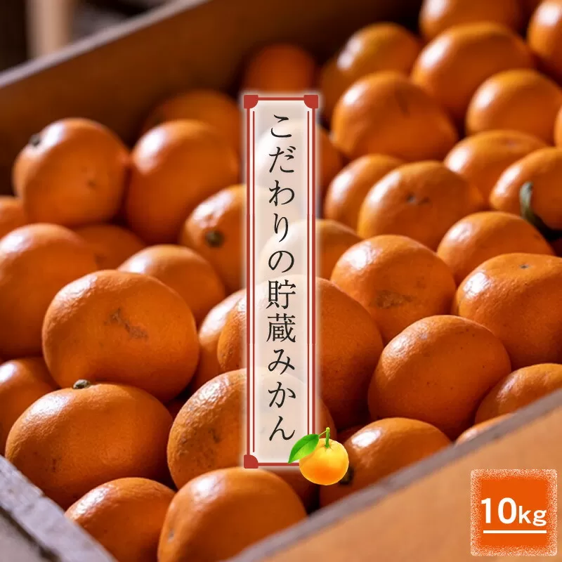 ＜品種厳選＞こだわりの貯蔵みかん　10キロ＜2025年12月20日出荷開始～2026年2月28日出荷終了＞【 みかん 神奈川県 小田原市 】