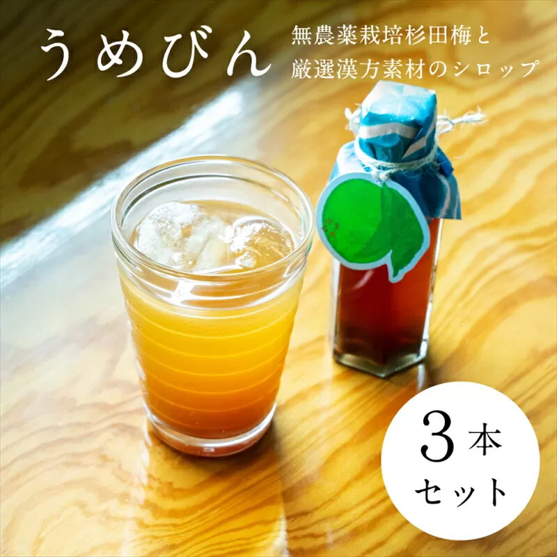【３本セット】濃厚梅エキスと漢方のシロップ「うめびん（杉田梅） by Kampo Kitchen」【 家庭用 自宅用 贈答品 贈答用 ギフト お取り寄せ お中元 お歳暮 贈り物 お祝い 神奈川県 小田原市 】