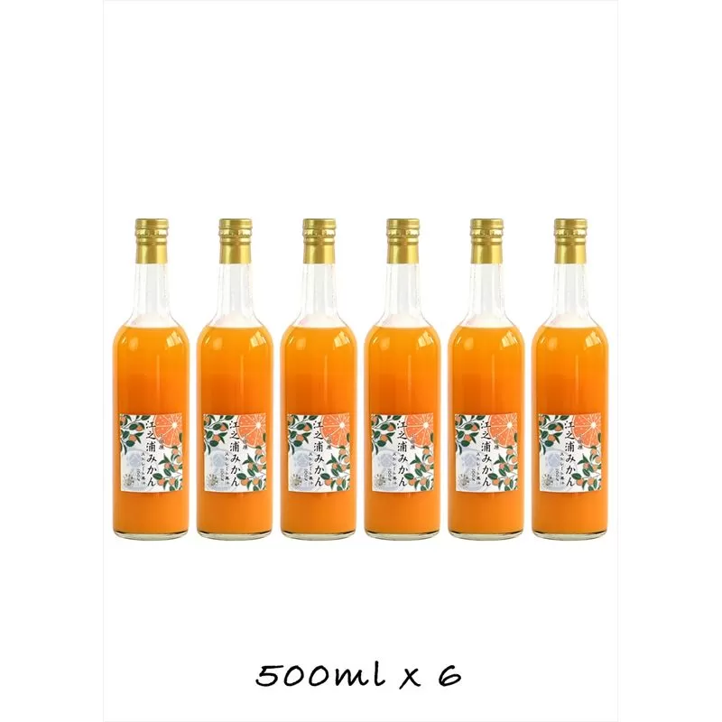 定期便 （2カ月ごと全3回） 小田原産江之浦みかん１００％ストレートジュース５００ml６本【 神奈川県 小田原市 】