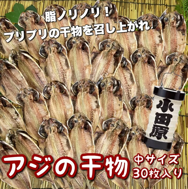 鯵の干物 中サイズ 30枚セット