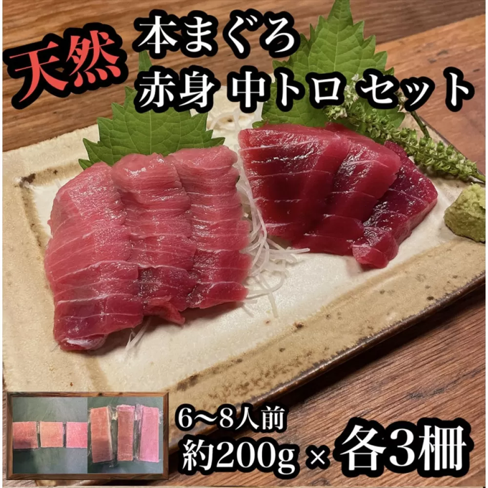 貴重な天然本鮪 赤身 約200g 中トロ 約200g 各3柵ずつ 6 8人前●赤身はマグロの中心部天身を使用！中とろの脂はくどくない上質な脂！【赤身 天身 惣菜 海鮮 お取り寄せ 御中元 お中元 お歳暮 父の日 母の日 贈り物 日本酒 焼酎】【神奈川県小田原市早川】