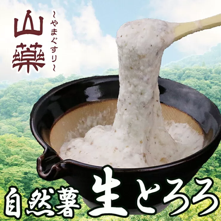 自然薯の味をお楽しみください。自然薯生とろろ100ｇ×５ｐセット【とろろ 極上とろろ 山芋 箱根 お家用 家庭用 国産 セット商品 自然薯 味付とろろ 神奈川県 小田原市 】