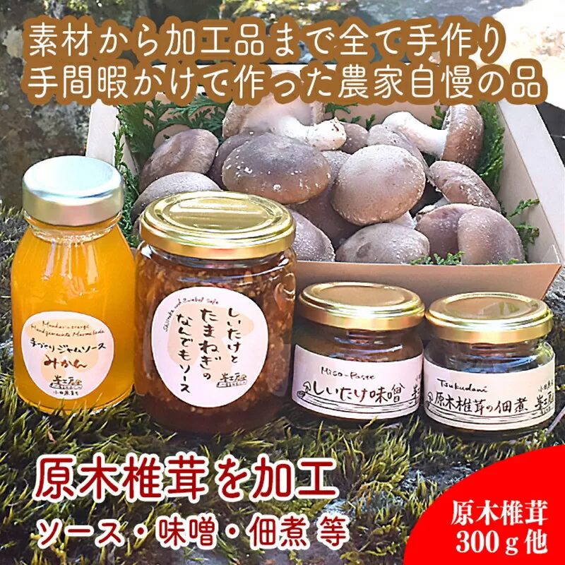 原木生椎茸と椎茸のソース&味噌&佃煮、椎茸の廃ホダを肥料に育ったみかんジャムのセット【家庭用 自宅用 贈答品 贈答用 ギフト お取り寄せ お中元 お歳暮 贈り物 お祝い 神奈川県 小田原市 】