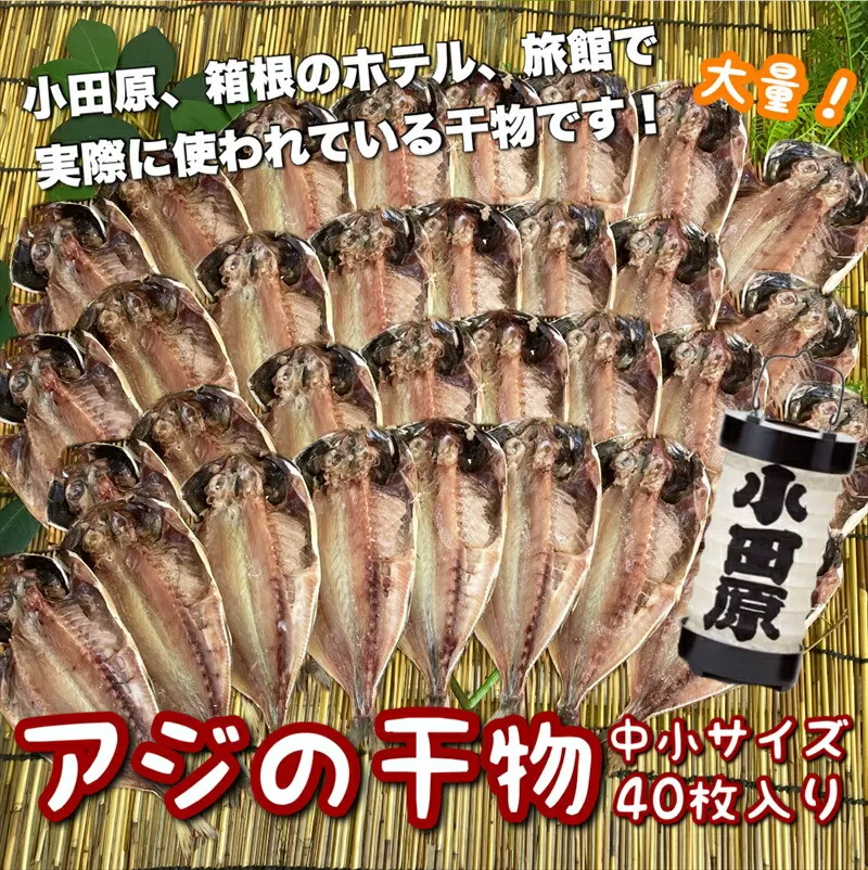 鯵の干物 中小サイズ 40枚セット