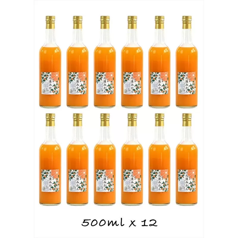 【定期便 6回】小田原産江之浦みかん１００％ストレートジュース５００ml１２本