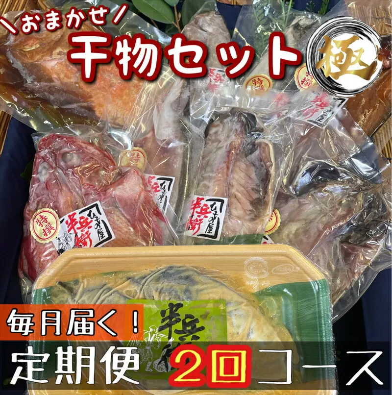【毎月定期便2回】厳選！小田原の旬の干物セット 極【 まぐろや 神奈川県小田原市 】