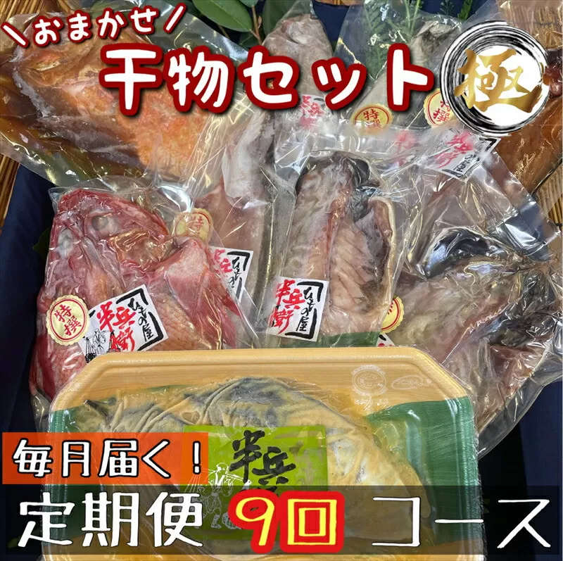 【毎月定期便9回】厳選！小田原の旬の干物セット 極【 まぐろや 神奈川県小田原市 】