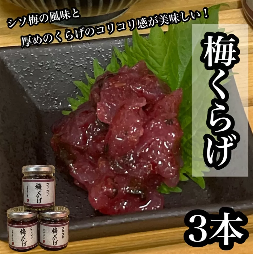 梅くらげ 3本【くらげ 珍味 おつまみ 梅しそ 惣菜 海鮮 塩辛 珍味 お取り寄せ 御中元 お中元 お歳暮 父の日 母の日 贈り物 日本酒 焼酎】【神奈川県小田原市早川】