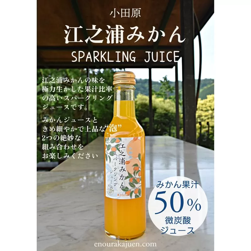 小田原産江之浦みかんスパークリング果汁入り飲料果汁５０％２００ml３０本