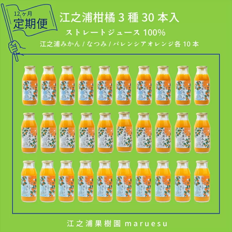 【定期便 12回】 小田原産江之浦みかんジュース３種のみくらべ３０本セット うんしゅう・なつみ・バレンシアオレンジ１００％ストレートジュース１８０ml各１０本合計３０本