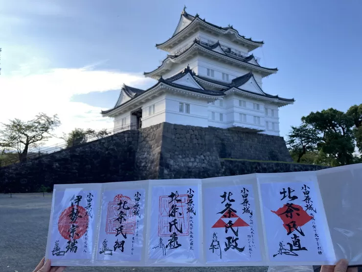 小田原城御城印・御城印帳・石垣山城御城印・北条五代武将印セット【小田原城 石垣山城 北条五代武将 武将 小田原御城印 武将印 5枚組 花押 朱印 古文書 小田原城天守閣ミュージアムショップ 神奈川県 小田原市 】