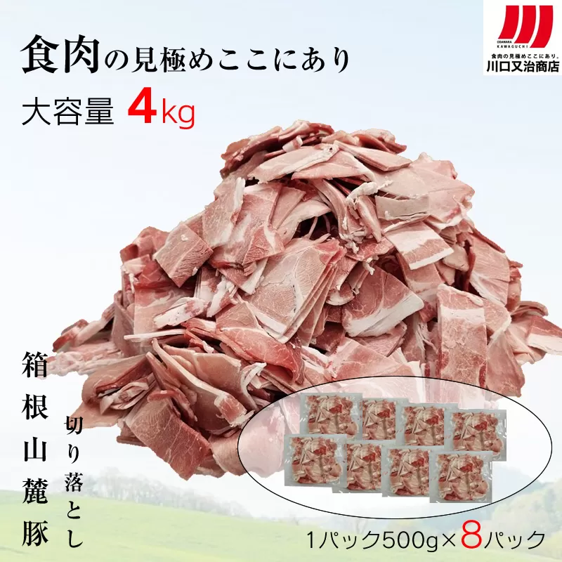 箱根山麓豚　モモ・ウデ切り落とし４K盛り(500ｇ×８パック)【 箱根山麓豚 切り落とし 神奈川県 小田原市 】
