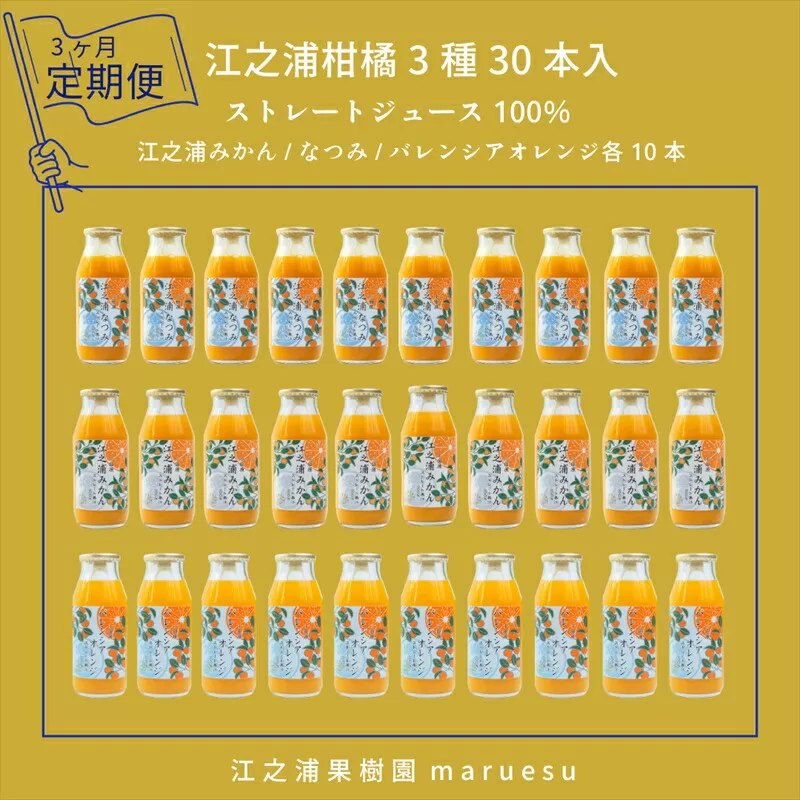 【定期便 3回】 小田原産江之浦みかんジュース３種のみくらべ３０本セット うんしゅう・なつみ・バレンシアオレンジ１００％ストレートジュース１８０ml各１０本合計３０本