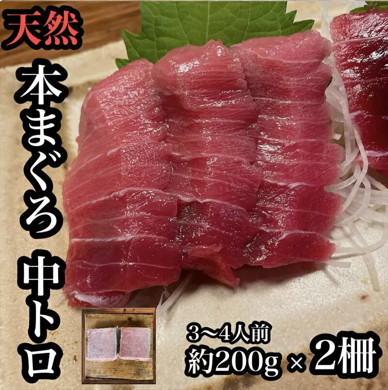 貴重な天然本鮪 中トロ 約200g 2柵　約3 4人前●くどくない上質な脂が美味しい！【とろ マグロ 惣菜 海鮮 お取り寄せ 御中元 お中元 お歳暮 父の日 母の日 贈り物 日本酒 焼酎】【神奈川県小田原市早川】