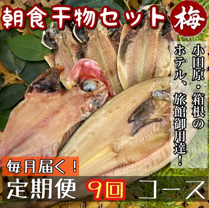 【毎月定期便9回】小田原、箱根の旅館、ホテル御用達！朝食干物セット 梅【 まぐろや 神奈川県小田原市 】