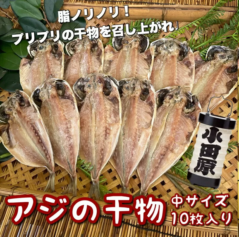 鯵の干物 中サイズ 10枚セット