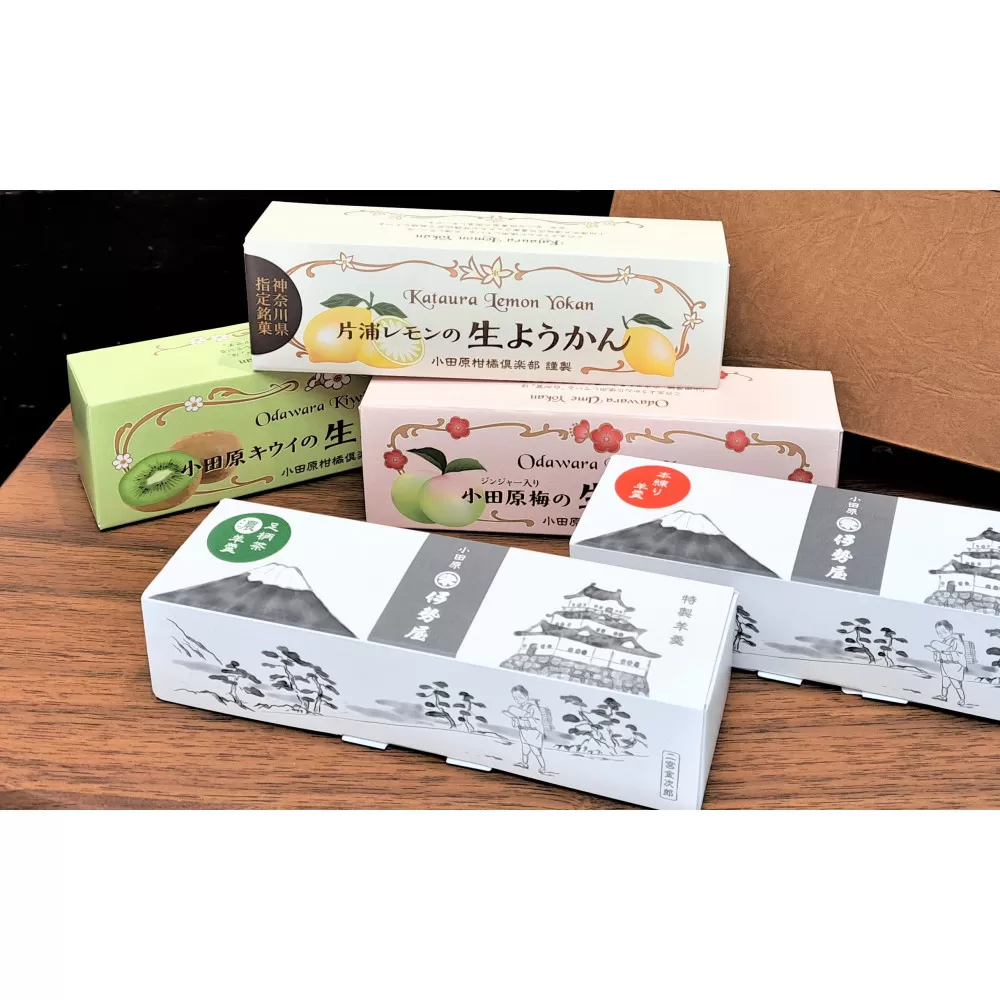 小田原老舗和菓子店の手づくりようかん5本セット【和菓子店　手づくりようかん5本セット レモンようかん　フルーツようかん 足柄茶ようかん 本練ようかん キウイようかん 梅ようかん 神奈川県指定銘菓 神奈川県 小田原市 】