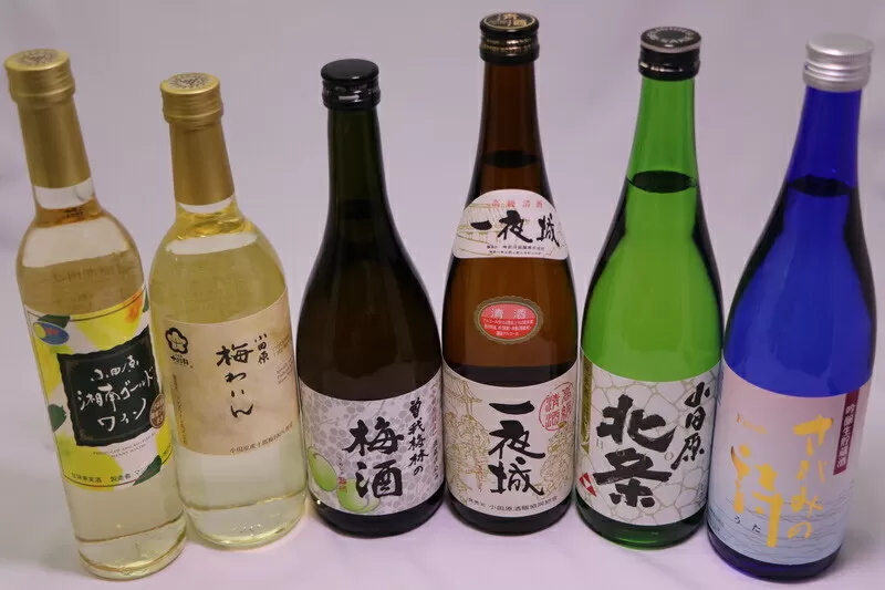 城下町小田原の日本酒3本と厳選3本　味くらべ６本！