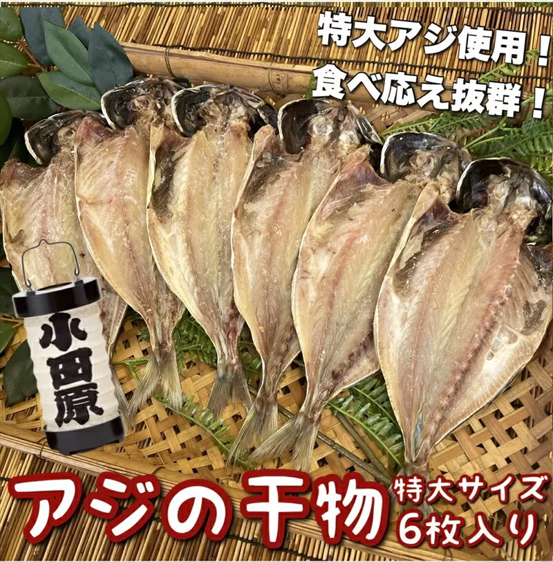 鯵の干物 特大サイズ 6枚セット