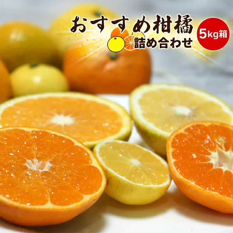 【先行予約】1月おすすめ柑橘詰め合わせ5kg箱＜出荷開始：2026年1月5日~1月25日＞【 フルーツ 神奈川県 小田原市 】