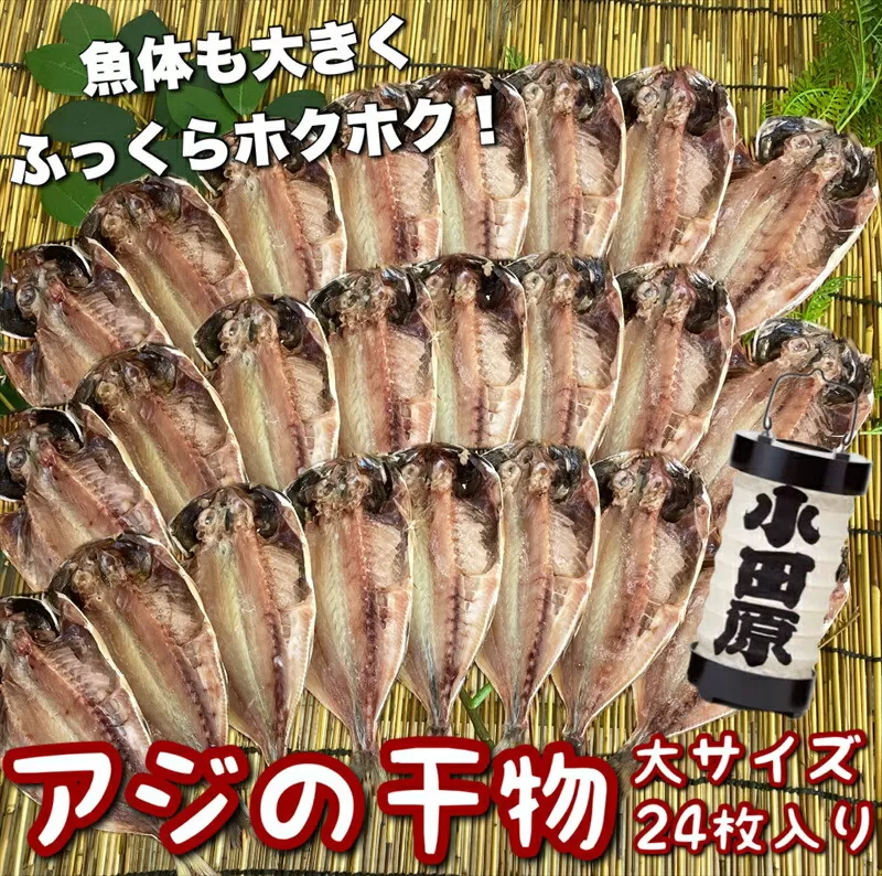 鯵の干物 大サイズ 24枚セット