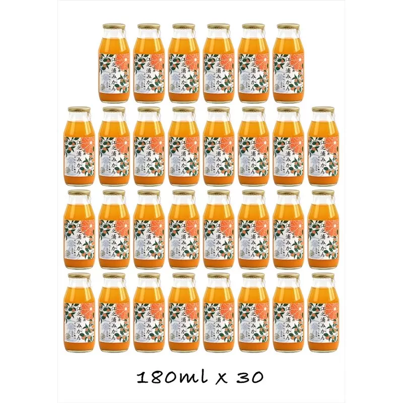 定期便 （2カ月ごと全4回） 小田原産江之浦みかん１００％ストレートジュース１８０ml３０本【 神奈川県 小田原市 】