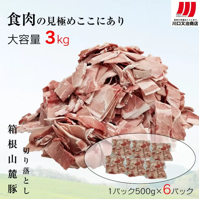 箱根山麓豚　モモ・ウデ切り落とし３K盛り(500ｇ×６パック)【 箱根山麓豚 切り落とし 神奈川県 小田原市 】