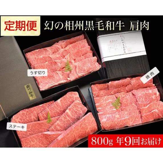 わがまま定期便　 幻の相州黒毛和牛肩肉 800g 年に9回お届け！