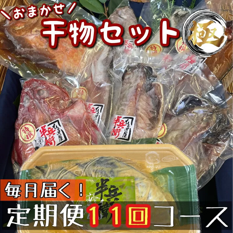 【毎月定期便11回】厳選！小田原の旬の干物セット 極【 まぐろや 神奈川県小田原市 】