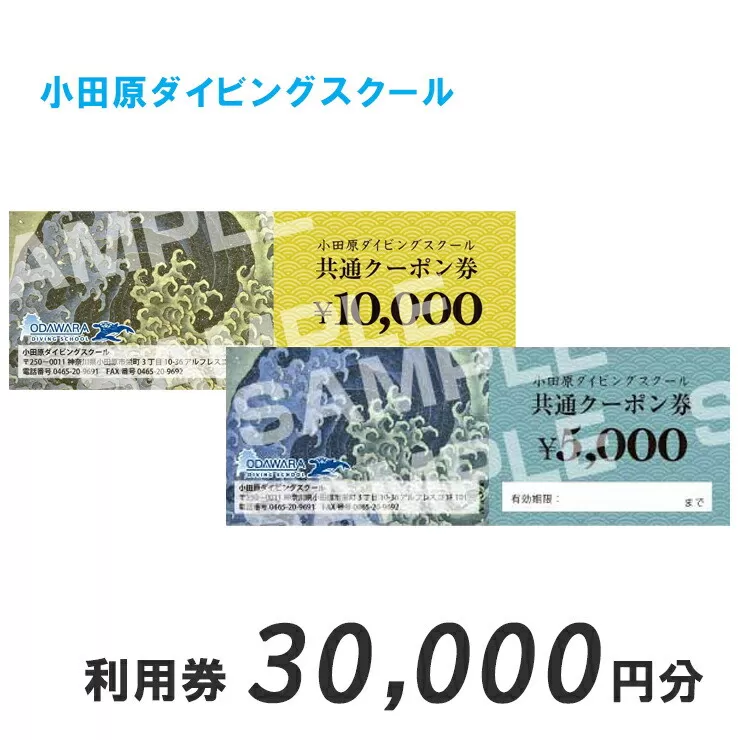 小田原ダイビングスクール 共通クーポン券 30,000円分