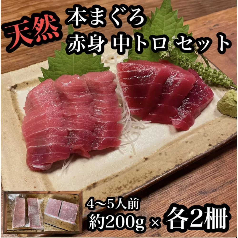 貴重な天然本鮪 赤身 約200g 中トロ 約200g 各2柵ずつ 4 5人前●赤身はマグロの中心部天身を使用！中とろの脂はくどくない上質な脂！【赤身 天身 惣菜 海鮮 お取り寄せ 御中元 お中元 お歳暮 父の日 母の日 贈り物 日本酒 焼酎】【神奈川県小田原市早川】