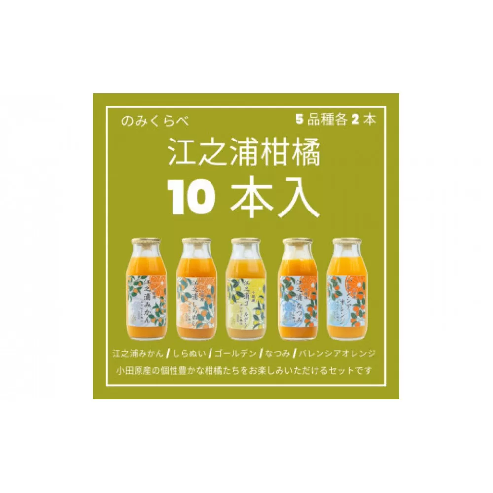 小田原産江之浦みかんジュース５種のみくらべ１０本セット うんしゅう・しらぬい・ゴールデン・なつみ・バレンシアオレンジ１００％ストレートジュース１８０ml各２本合計１０本