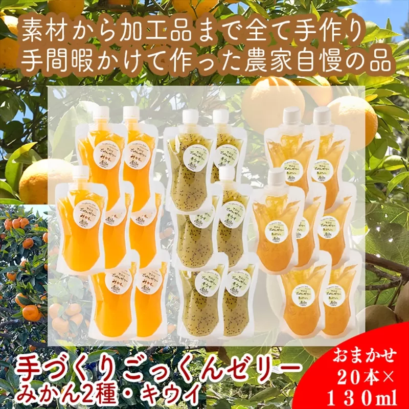 スイスで加工品を学んだ農家が作った『手づくりごっくんゼリー』 おまかせ20本セット 130ml みかん 甘夏 キウイ【 家庭用 自宅用 贈答品 贈答用 ギフト お取り寄せ お中元 お歳暮 贈り物 お祝い 神奈川県 小田原市 】 