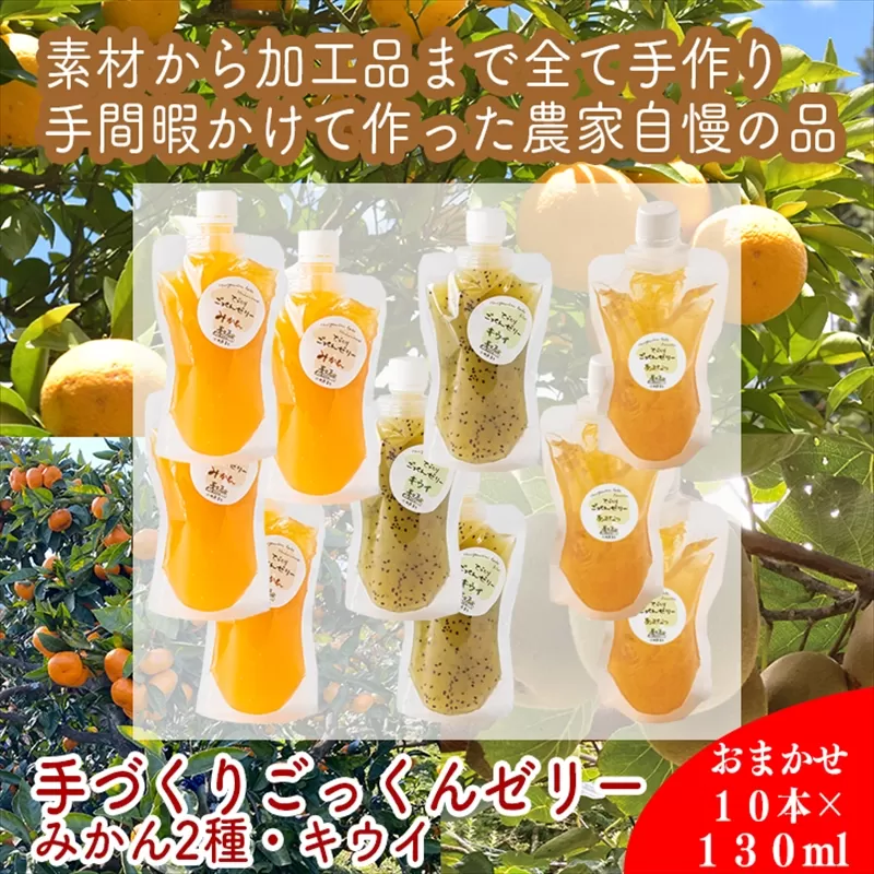 スイスで加工品を学んだ農家が作った『手づくりごっくんゼリー』 おまかせ10本セット 130ml みかん 甘夏 キウイ【 家庭用 自宅用 贈答品 贈答用 ギフト お取り寄せ お中元 お歳暮 贈り物 お祝い 神奈川県 小田原市 】 