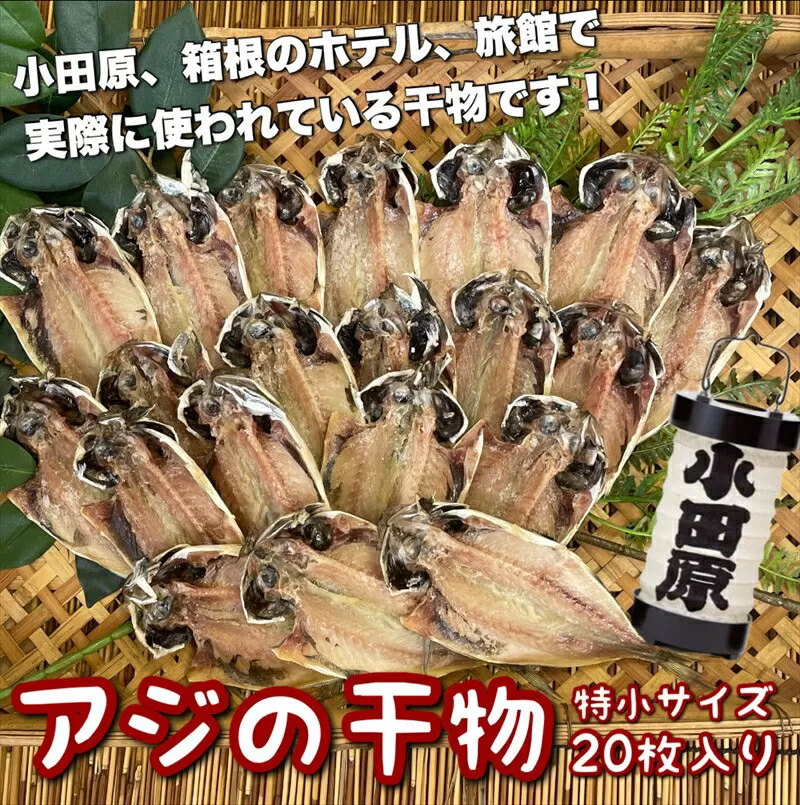 鯵の干物 特小サイズ 20枚セット