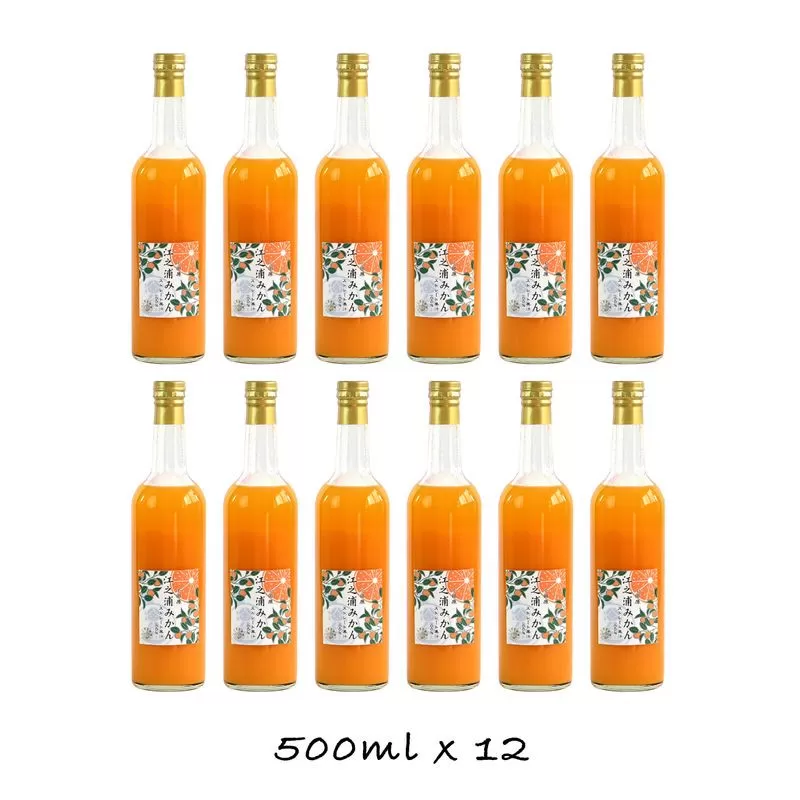 小田原産江之浦みかん１００％ストレートジュース５００ml１２本