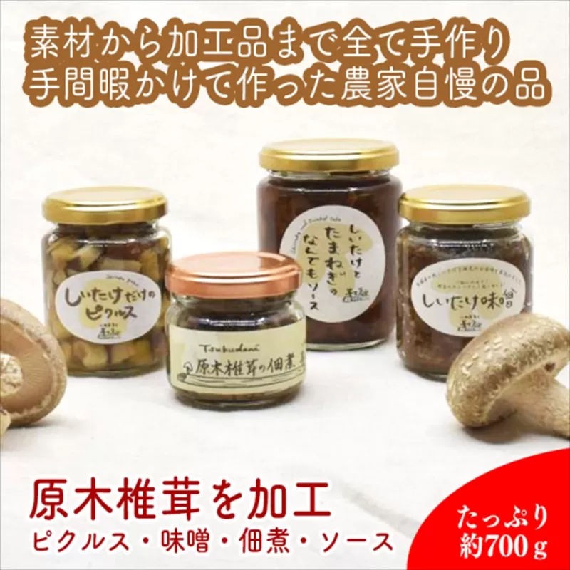 椎茸加工品セット（加工品４種セット）【 家庭用 自宅用 贈答品 贈答用 ギフト お取り寄せ お中元 お歳暮 贈り物 お祝い 神奈川県 小田原市 】