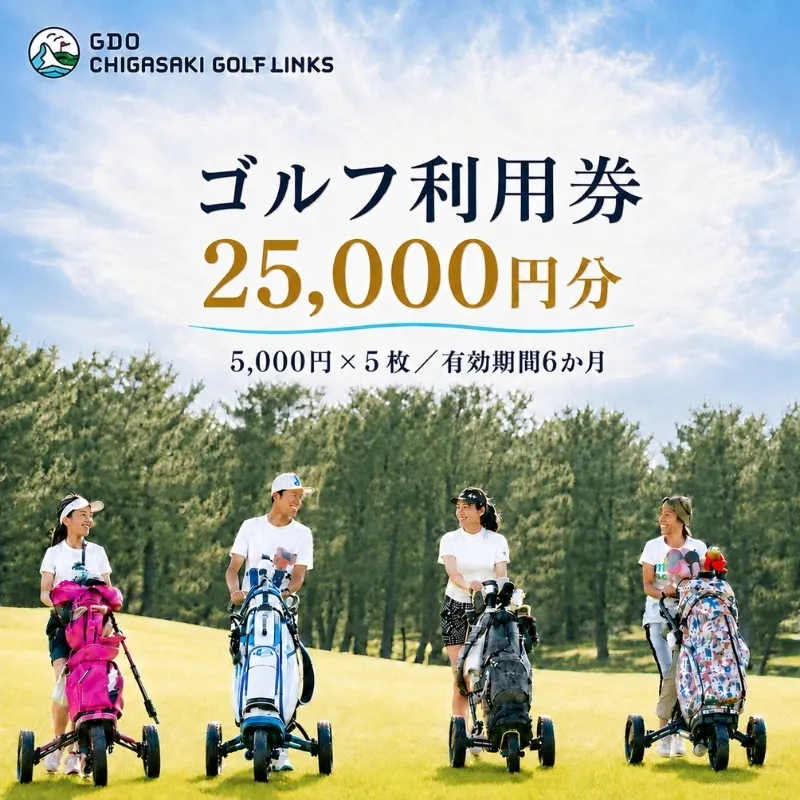 ゴルフ場 神奈川 GDO茅ヶ崎ゴルフリンクス 25,000円分　利用券 ゴルフ ゴルフ場利用権 ラウンド 運動 健康 スポーツ 自然 コース 