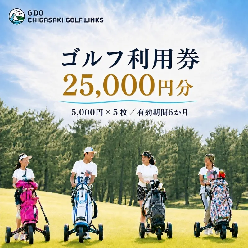 ゴルフ場 神奈川 GDO茅ヶ崎ゴルフリンクス 25,000円分　利用券 ゴルフ ゴルフ場利用権 ラウンド 運動 健康 スポーツ 自然 コース 