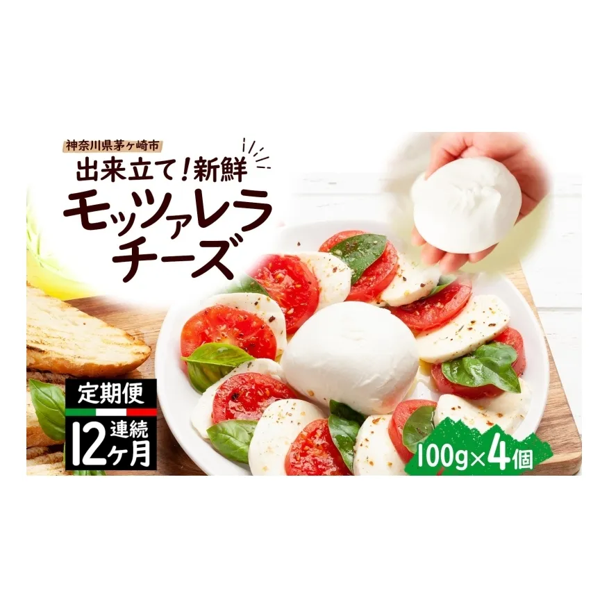  12ヶ月定期便 出来立て新鮮 モッツァレラチーズ100g  ×  4個セット 茅ケ崎産 加工食品 乳製品 チーズ 出来立て 神奈川県産 モッツァレラ 手作り Osteria e Bottega S 神奈川県 湘南 茅ケ崎 フレッシュチーズ  おつまみ ピザ
