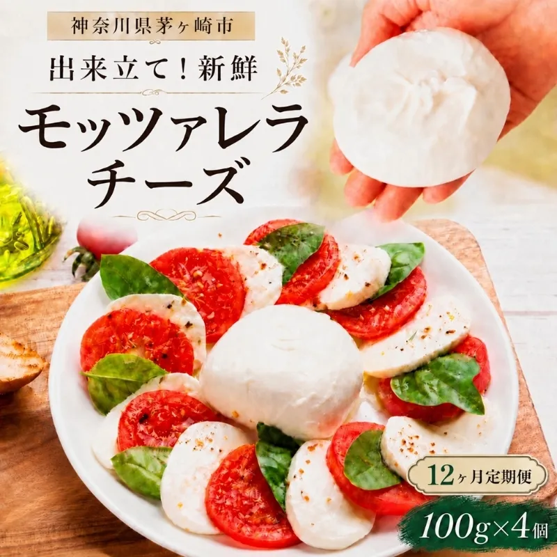  12ヶ月定期便 出来立て新鮮 モッツァレラチーズ100g  ×  4個セット 茅ケ崎産 加工食品 乳製品 チーズ 出来立て 神奈川県産 モッツァレラ 手作り Osteria e Bottega S 神奈川県 湘南 茅ケ崎 フレッシュチーズ  おつまみ ピザ