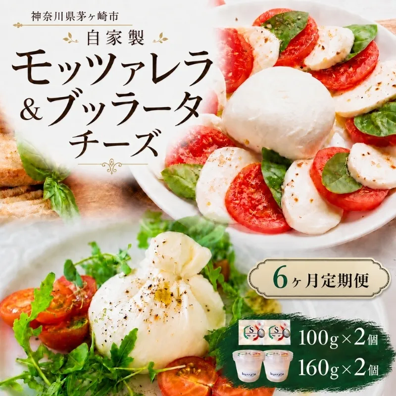 【6ヶ月定期便】自家製 チーズ 詰め合わせ モッツァレラチーズ 100g  ブッラータチーズ160g 各2個 出来立て 神奈川県産 幻のチーズ  モッツァレラ ブッラータ 手作り Osteria e Bottega S 神奈川県 湘南 茅ケ崎 フレッシュチーズ  おつまみ ピザ
