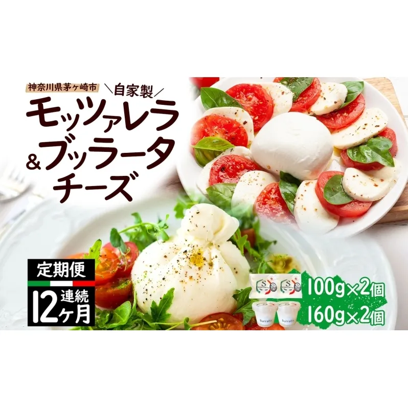 【12ヶ月定期便】自家製 チーズ 詰め合わせ モッツァレラチーズ 100g  ブッラータチーズ180g 各2個 出来立て 神奈川県産 幻のチーズ  モッツァレラ ブッラータ 手作り Osteria e Bottega S 神奈川県 湘南 茅ケ崎 フレッシュチーズ  おつまみ ピザ