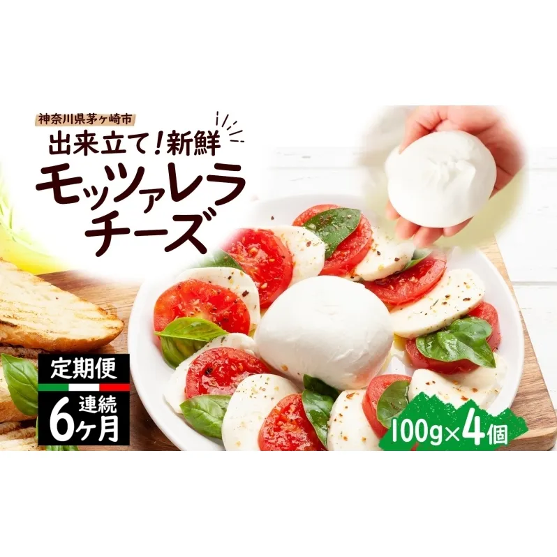  6ヶ月定期便 出来立て新鮮 モッツァレラチーズ100g  ×  4個セット 茅ケ崎産 加工食品 乳製品 チーズ 出来立て 神奈川県産 モッツァレラ 手作り Osteria e Bottega S 神奈川県 湘南 茅ケ崎 フレッシュチーズ  おつまみ ピザ