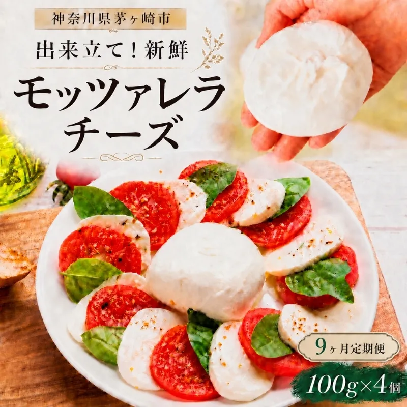 9ヶ月定期便 出来立て新鮮 モッツァレラチーズ100g  ×  4個セット 茅ケ崎産 加工食品 乳製品 チーズ 出来立て 神奈川県産 モッツァレラ 手作り Osteria e Bottega S 神奈川県 湘南 茅ケ崎 フレッシュチーズ  おつまみ ピザ
