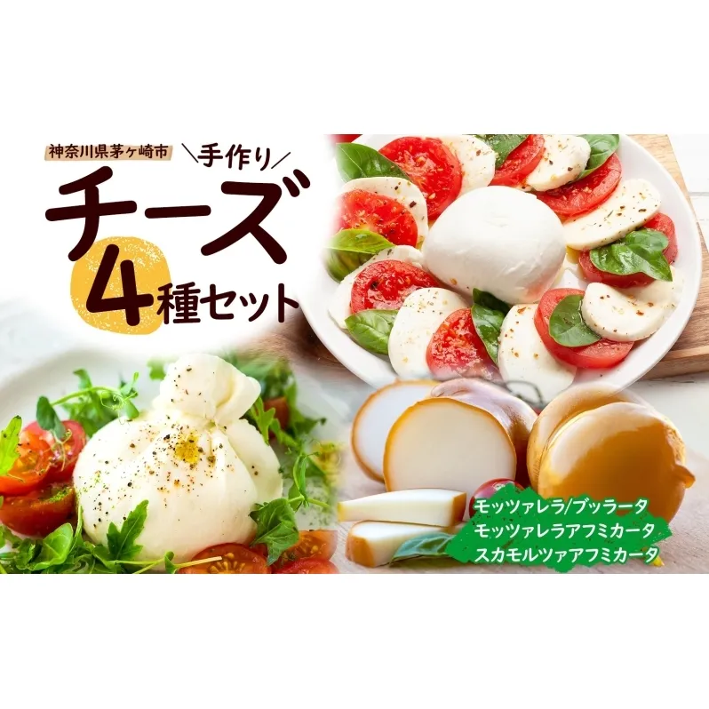 チーズ 4種 詰め合わせ 各1個 湘南 モッツァレラ チーズ  ブラッターチーズ スカモルツァアフミカータ 神奈川県 茅ケ崎市 Osteria e Bottega S 加工食品 乳製品 牛乳 手作業 ミルク 銀賞 幻のチーズ スモーク 塩漬け 美味しい  おつまみ ピザ 