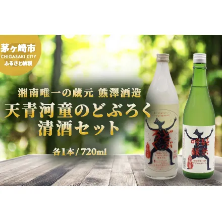 【湘南唯一の蔵元】熊澤酒造 天青河童のどぶろく・清酒セット（720ml×各1本）天青河童の純米吟醸 ※2024年5月以降に順次配送 お酒 日本酒 純米吟醸酒 吟醸酒 アルコール こだわり 井戸 お米 汲み上げ 酵母 酸味 